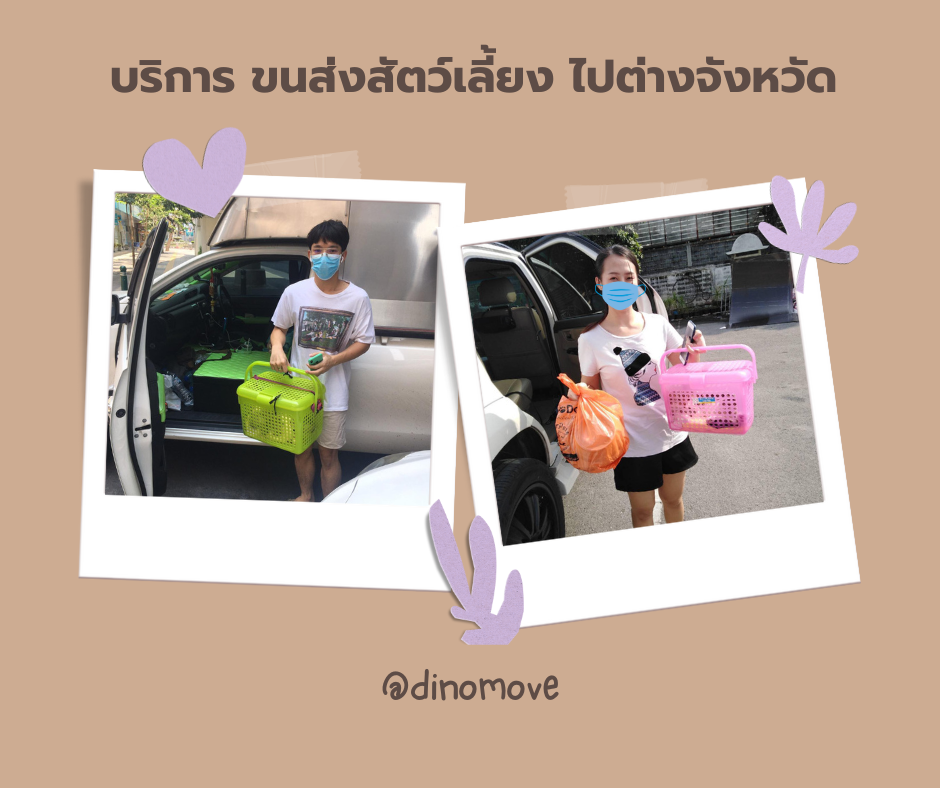 ขนส่งสัตว์เลี้ยง.png